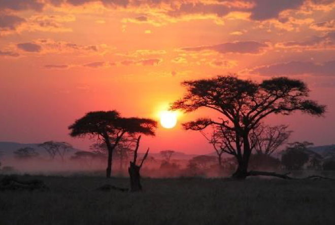 afrika